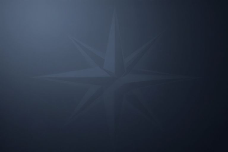 Professionelle Beratungssitzung